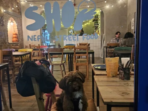 Momo Shop