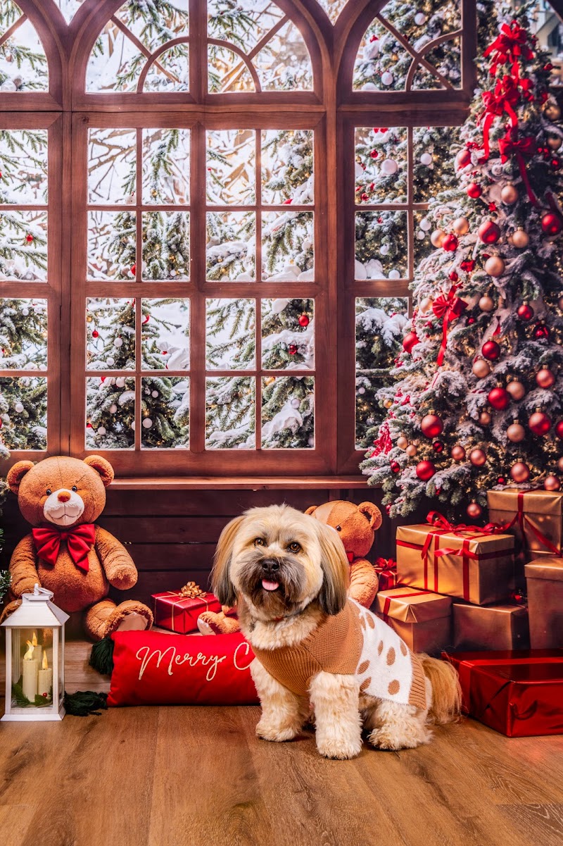 Milan Tamu Photography